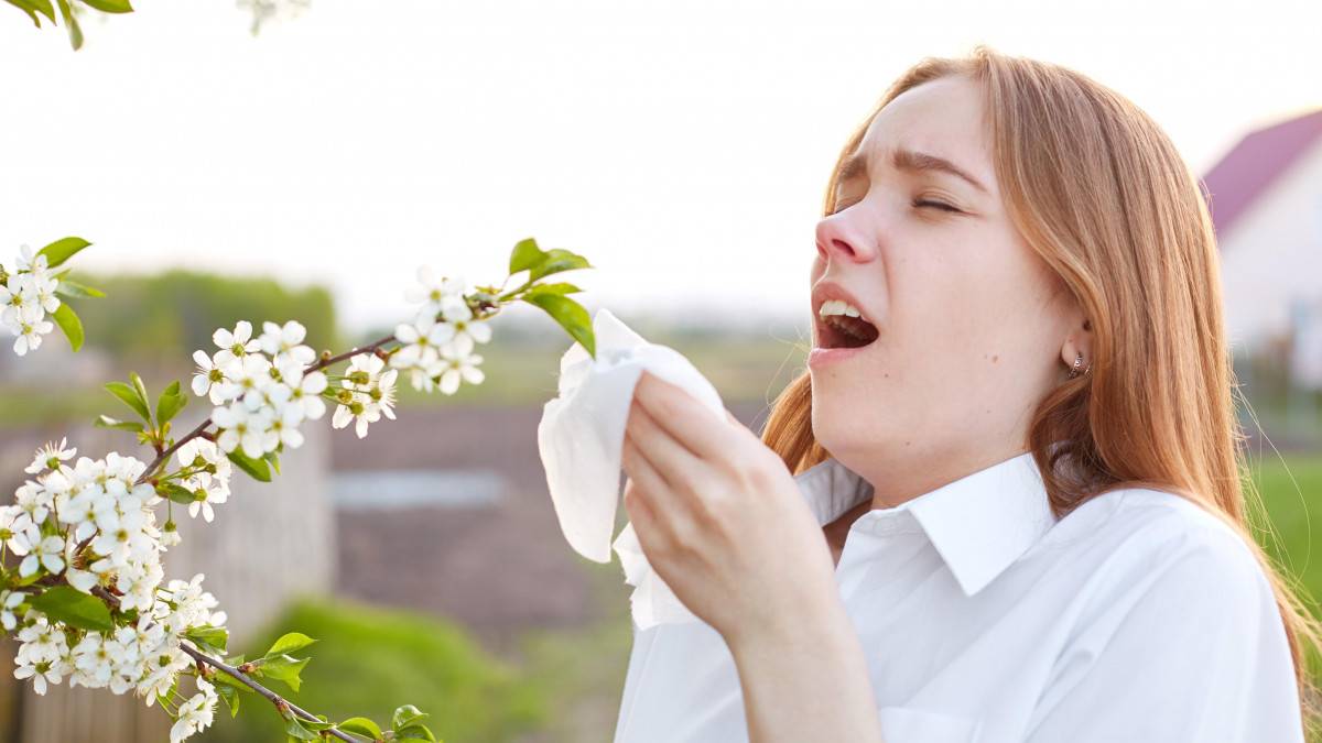 Le printemps arrive, les allergies saisonnières havraises aussi !